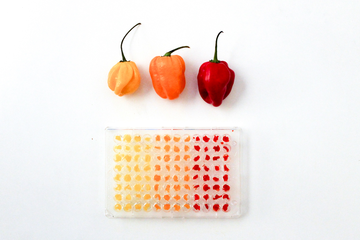 Descomponiendo y aproximandose al Habanero